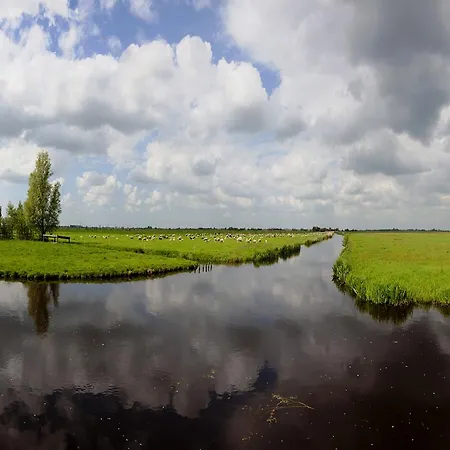 Farmland Amsterdam