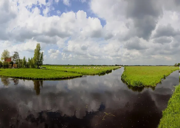 Farmland 암스테르담